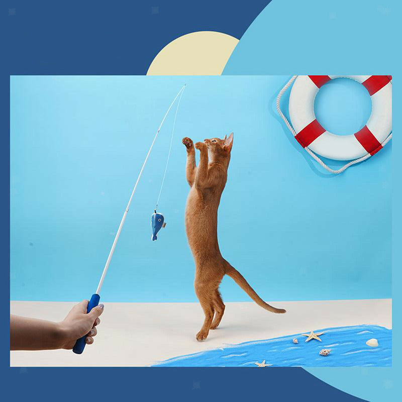 Catnip Filled Cat Toys Fishing Cat Teaser Wand Exerciser Training Chasing A