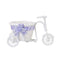 Tricycle Flower Basket Wicker for Flower Vase and Gift Decoration Storage -