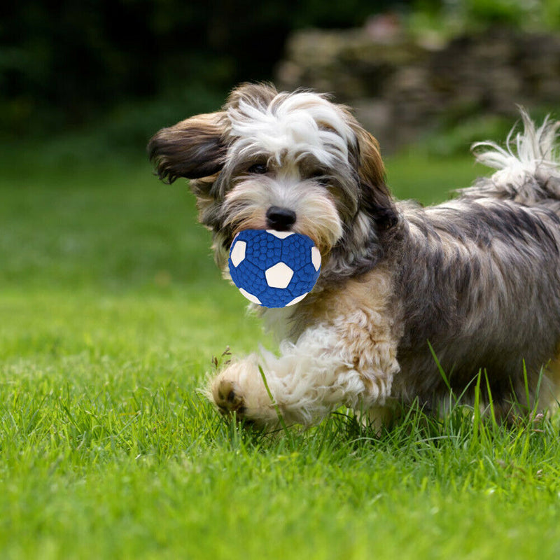 Pet Soft Latex Squeak Sound Molar Ball Dog Interactive Chew Toys (Football) A