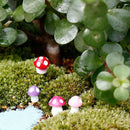 20 Mini Landscape Hedgehog Mushroom Garden Ornament for Plant Fairy Accessories