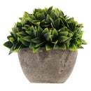 Plastic Artificial Potted Plants Green Grass -13cm / 5.12''(Height)-Green