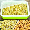 Seed Sprouter Tray PP Healthy Alfalfa Wheatgrass Seeds Grower with Cover,2 SA4I7