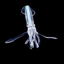 5Pcs Glow Luminous Silicone Squid Lures Soft Squid Skirt Bait Artificial Lu L5R1