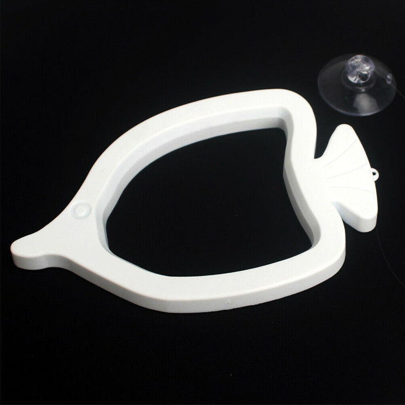 2pcs With Suction Cup Aquarium Feeding Ring Floating Food Circle Pet Supplies