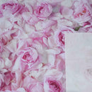 5x7ft Photography Backdrop Pink rose flower wall wedding love baby shower f
