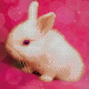 DIY 5D Diamond Painting, Crystal Rhinestone Embroidery Pictures Arts Craft