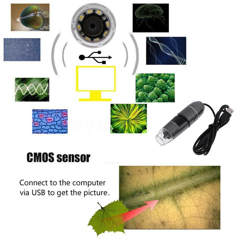 Digital 8LED USB2.0 2MP 1000X Zoom Microscope Biological Endoscope(Grey)