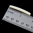 3x  Curved Slotted BONE NUT For    Guitar