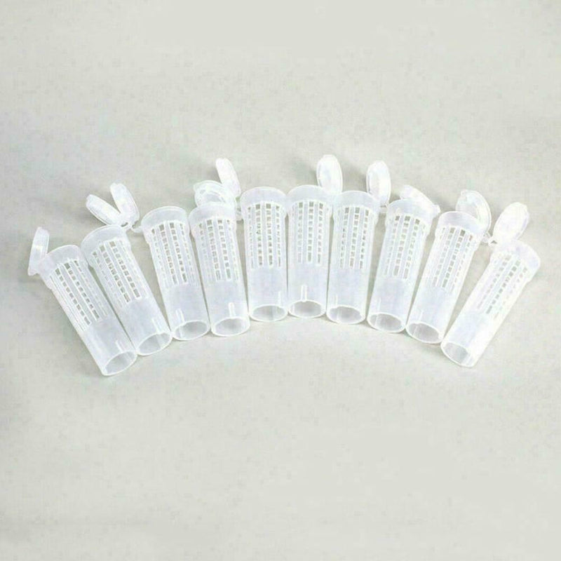 Bee Queen Rearing Cupkit Complete Box System Beekeeping Kit/Set 100Cell Cup E3T8