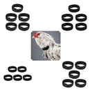 Pack of 20 No-Crow Rooster Collar (18x2cm/ Black Colors)