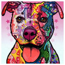 5D DIY Full Drill Square Diamond Painting Color Dog Cross Stitch Embroidery