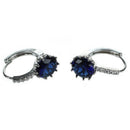 Women's Jewelry Rhinestone Round Shiny Earrings Sapphire Blue T4B8