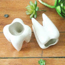 Tooth Shape White Ceramic Flower Pot Modern Design Decor Teeth Desktops Pla J7A6