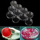 5x Clear Plastic Petri Dish Disposable Bacterial Culture Dish Plate 60X15mm QIJ