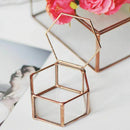 Geometric Glass Terrarium Box Jewelry Box Glass Succulent Plant Pot Deco He