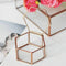 Geometric Glass Terrarium Box Jewelry Box Glass Succulent Plant Pot Deco He
