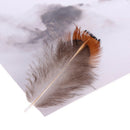 50pcs/set pheasant feathers 4-8cm chicken plumes for carnival diy craft de BX
