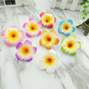 10PC Hawaiian Plumeria lily Flower Foam Hair Clip Hair Pins Hair Accessory