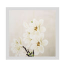Art Flower Modern Pictures Wall Oil Painting Canvas Home Decor 30x30cm