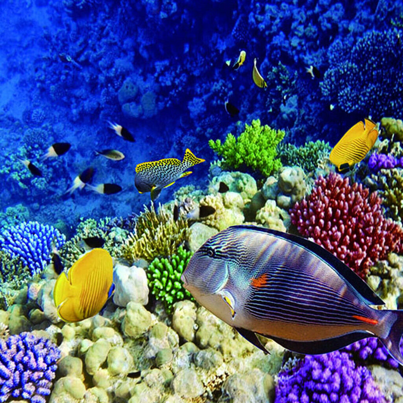 Aquarium   Tank Background Poster Marine Decorative Wallpaper 122x61cm
