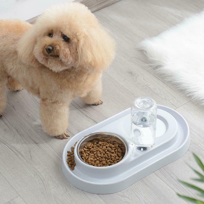 2 in 1 Dual Port Pet Dog Cat Automatic Feeder+Drinker Food Water Bowl Dispenser