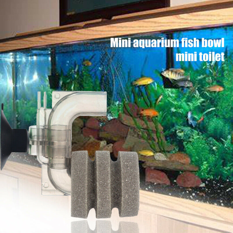 Shrimp Reduce Noise Oxygen Increase Easy Apply Fish Tank Filter With Suction Cup