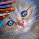 DIY Color Pencil Cat Picture Decor Full Round Rhinestone Drill Painting Kit
