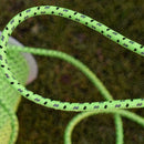 10M Length 4 MM Thickness Canopy Throw Reflective Rope Windproof Camping Te L7X7