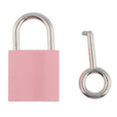 Cute Security Travel Lock Lockout Suitcase Drawer Alloy Padlock with 1 Key