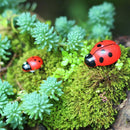 100x Mixed Ladybird Mini Self Adhesive Wooden Ladybugs Craft Card Wood Topper AA