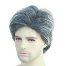 Men Short Hair Wigs for Men Wig Natural Looking Wig