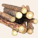 25pcs Pure Catnip Cleaning Teeth Sticks Toothpaste Cat Wood Cat Snacks Natural