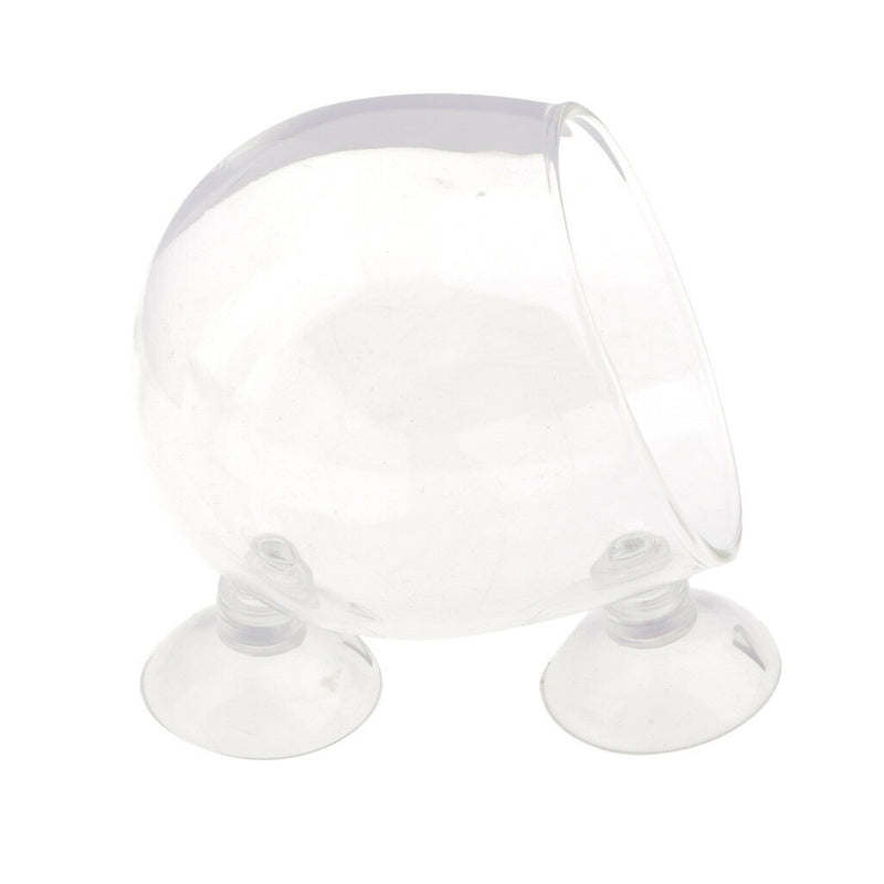 4pcs Aquatic   Tank Crystal Glass Plant Pot Glass Sucker Cup Hanging Vase