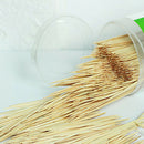 1000pcs Party Toothpick Restaurant Stick Bamboo Double Head Cylindrical Boxed