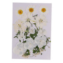 2Set Pressed Leaves Natural Dried Flower Embellishment For Scrapbook Card Making