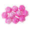 Set of 10 Pink White D20 Acrylic Dice for RPG D&D Gaming Twenty Sided Die