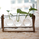 Plant Terrarium with Wooden Stand Glass Vase Holder for Home Decoration,Sci