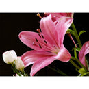 5D DIY Full Drill Diamond Painting Flower Cross Stitch Mosaic Kits (09)