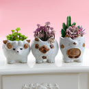 Cute Sheep Ceramic Flower Pot Succulent Plant