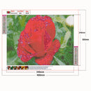 5D DIY Diamond Painting Flower Full Round Drill Canvas Wall Picture (A914)