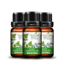 Firstsun Plant Nourishing Essential Oil Maintenance Nutritional Moisturizin A1F5