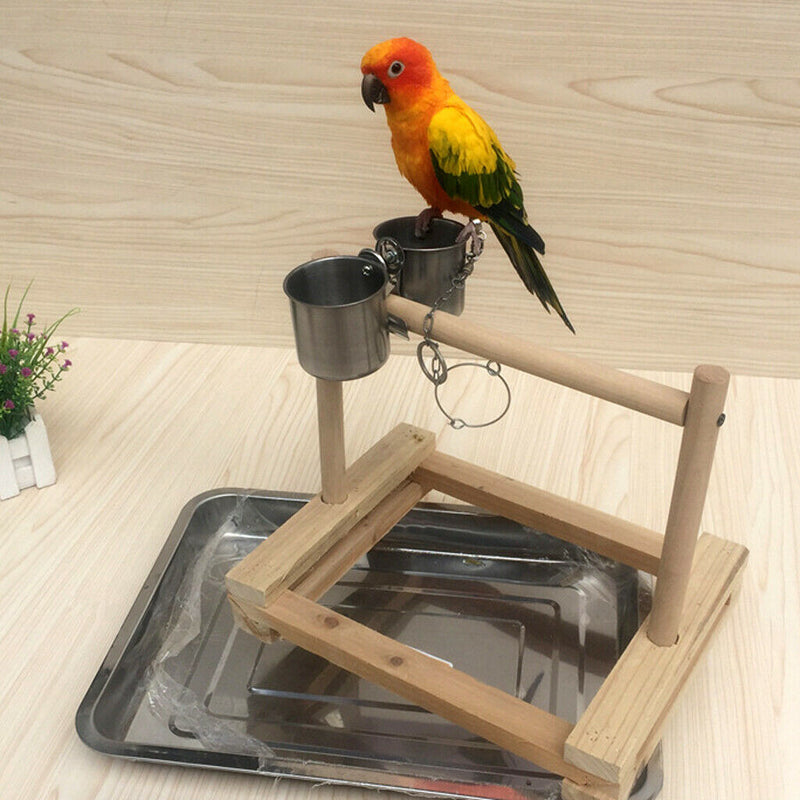 Stainless Steel Wood Parrot Activity Perch Stand