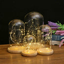 Battery Operated LED Lights Glass Cloche Table Lamp Fairy Lights Crafts B