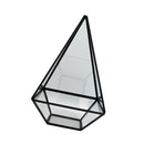 Clear Glass Geometric Terrarium Box Tabletop Succulent Plant Fern Planter