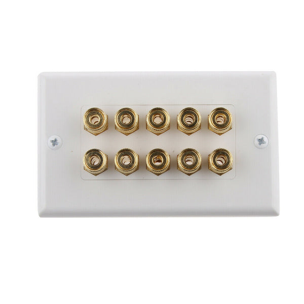 5 Speaker 10 Binding Post Banana Jack Wall Face