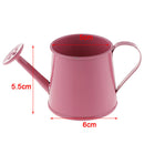 Nordic Style Watering Can Flower Barrel Mini Plant Irrigation Tool Pink