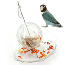 Pet Parrot Bird Cage Accessories Feeder Hanging Ball Forage Toys Pet Treats