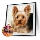 5D Full Round Drill Diamond Painting Dog diy Embroidery Animal Decor (281)