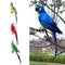 2pcs Vivid Colorful Parrot Birds Statue Garden Sculpture Home Art Ornament 45cm