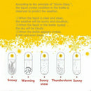 Weather Forecast Crystal Drop Water Shape Storm Glass Decor Birthday Xmas  F3C